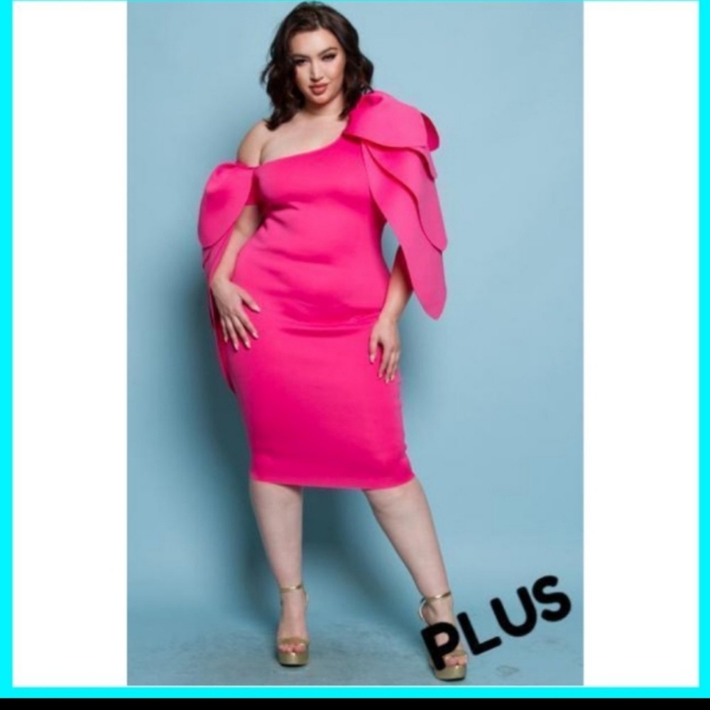 Beautiful SHE IS THE PINK ROSE 🌹 DRESS